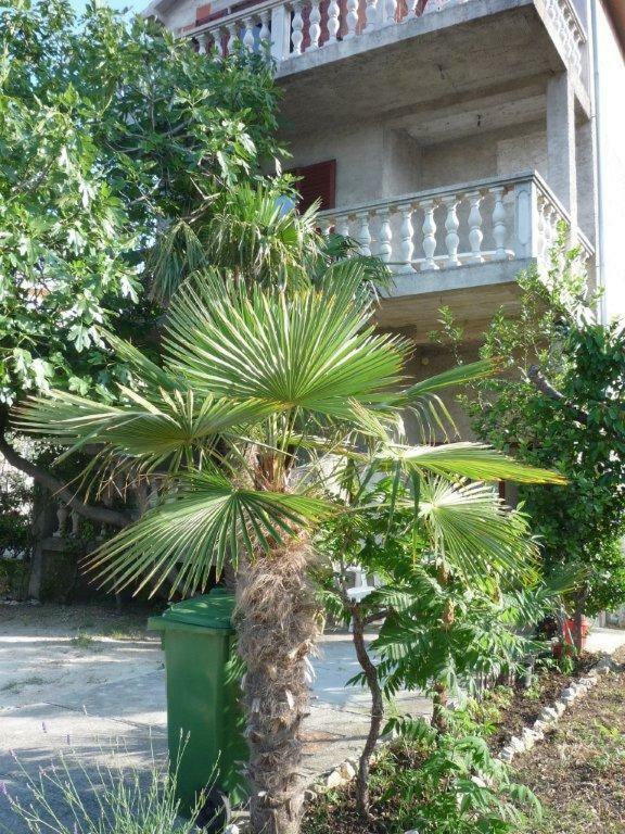 Apartments Ane Сукошан Экстерьер фото